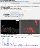 Video Motion Amplification